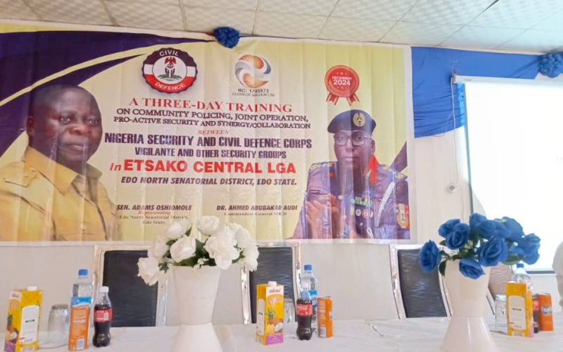 Security Summmit Vigilante (1) Emerging Security Threats in Edo North